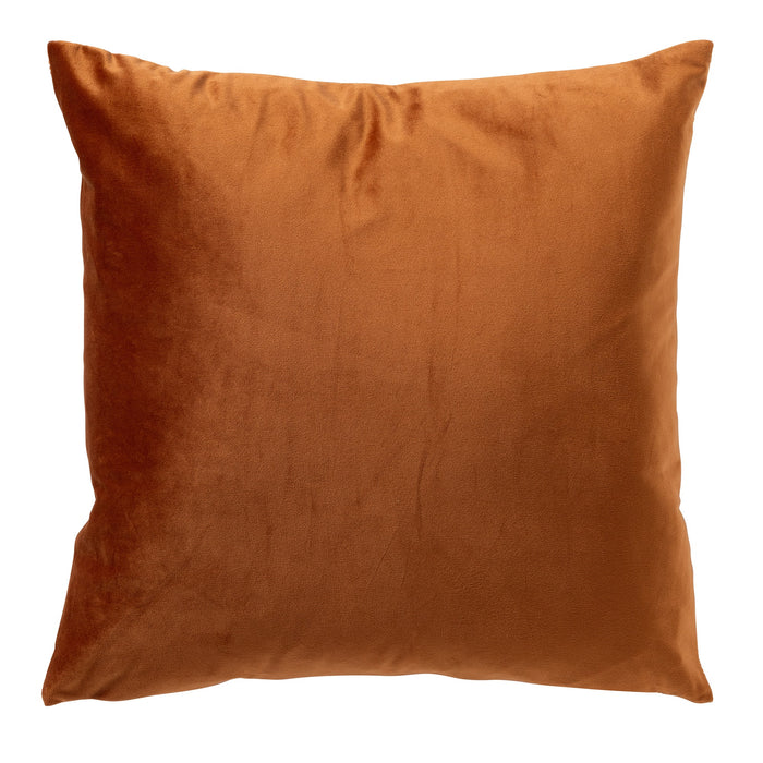 ec2c3068-afc0-4064-94c4-5f3dfee49465-afbeelding3.jpg (9107499)