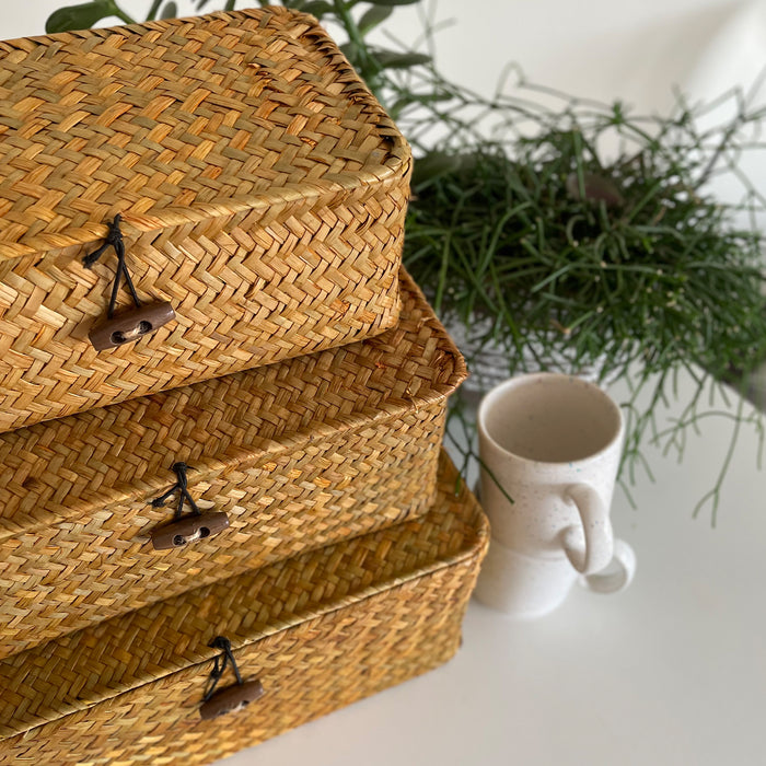 2855d343-7c78-4417-b94a-e3c01623076f-afbeelding7.jpg (9154855)