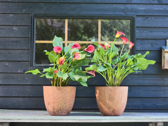 Ter Steege Plantenpot - terra bruin - kunststof - 28 x 24 cm