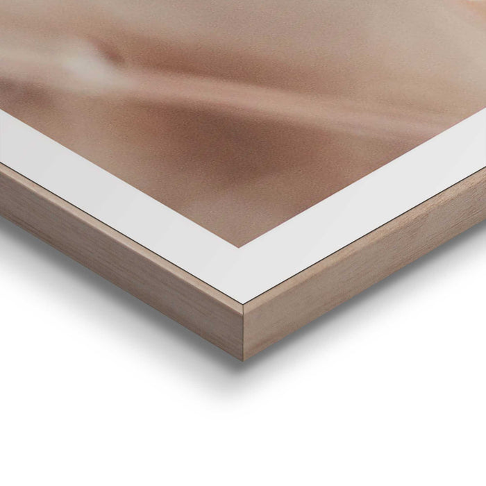 88516_13.jpg (9156645)