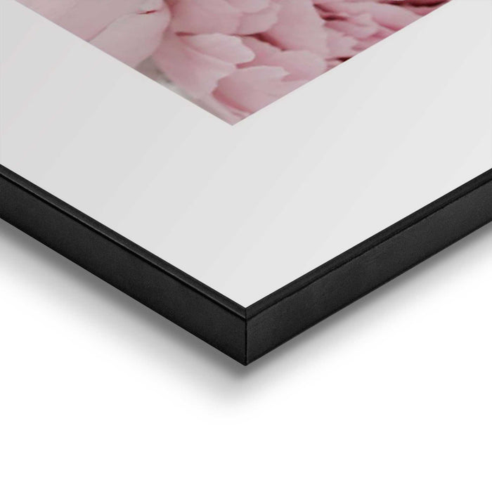 86323_13.jpg (9156805)