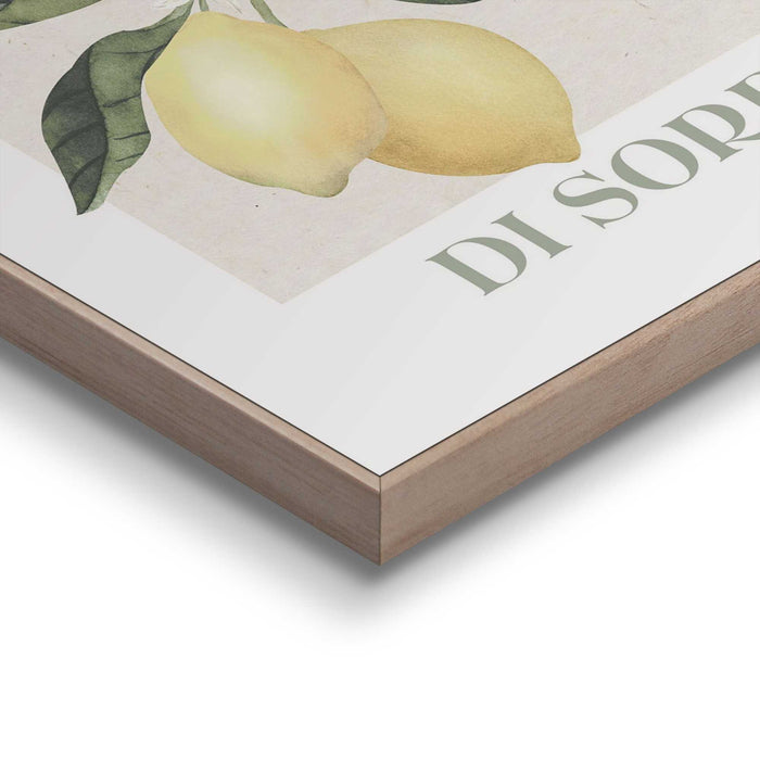 95131_13.jpg (9157127)