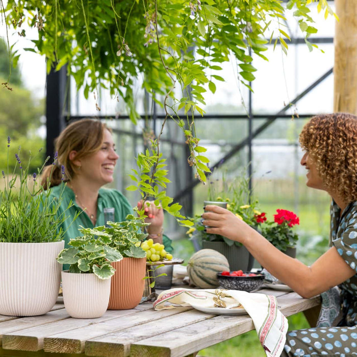 4ef3025b-2d75-4915-b7fe-875070f273c8-sfeerbeeld.jpg (9158526)