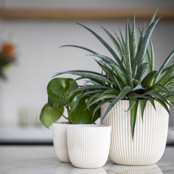 4ef3025b-2d75-4915-b7fe-875070f273c8-afbeelding3.jpg (9158527)