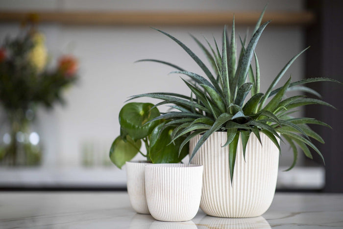 4ef3025b-2d75-4915-b7fe-875070f273c8-afbeelding3.jpg (9158527)