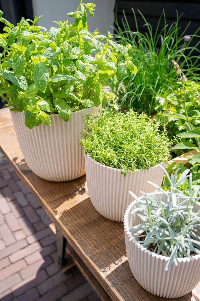 Capi Europe - Pot bol Groove 'made with' - Set M - Zaagsel beige