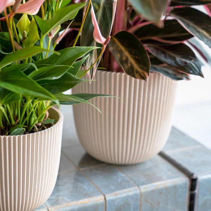 4ef3025b-2d75-4915-b7fe-875070f273c8-afbeelding6.jpg (9158530)