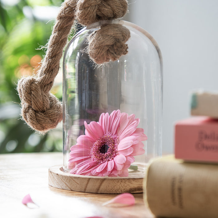 697fc38b-8be9-4993-81c0-f991a6356be7-afbeelding11.jpg (9158923)