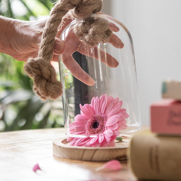 697fc38b-8be9-4993-81c0-f991a6356be7-afbeelding12.jpg (9158924)