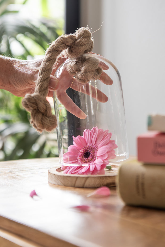 697fc38b-8be9-4993-81c0-f991a6356be7-afbeelding12.jpg (9158924)