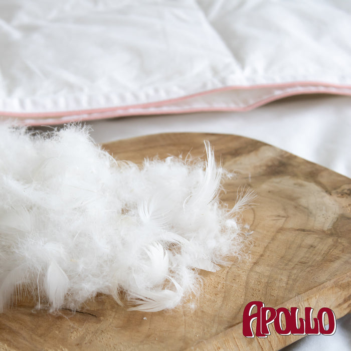 Apollo - Voldonzen Eendendons - 4-Seizoenen Dekbed - 140x220cm