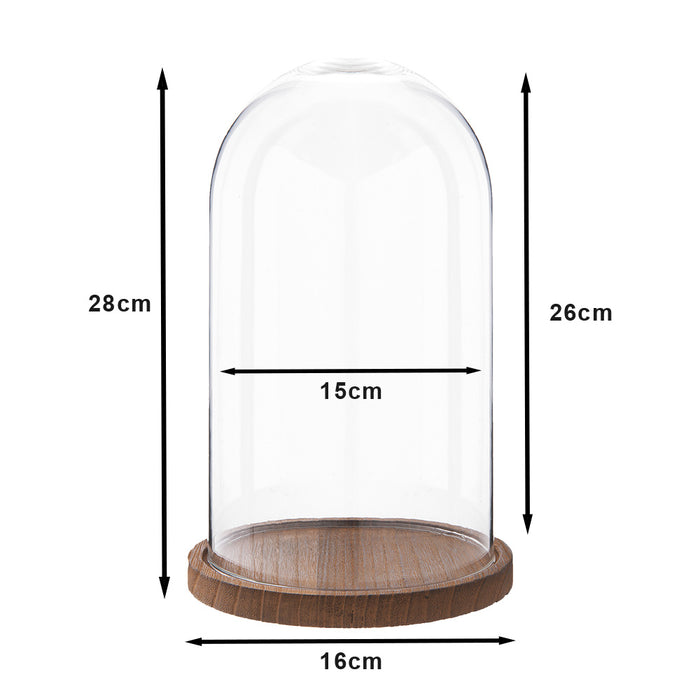 57decded-b811-4416-acc0-7f6823aba24e-afbeelding10.jpg (9166373)