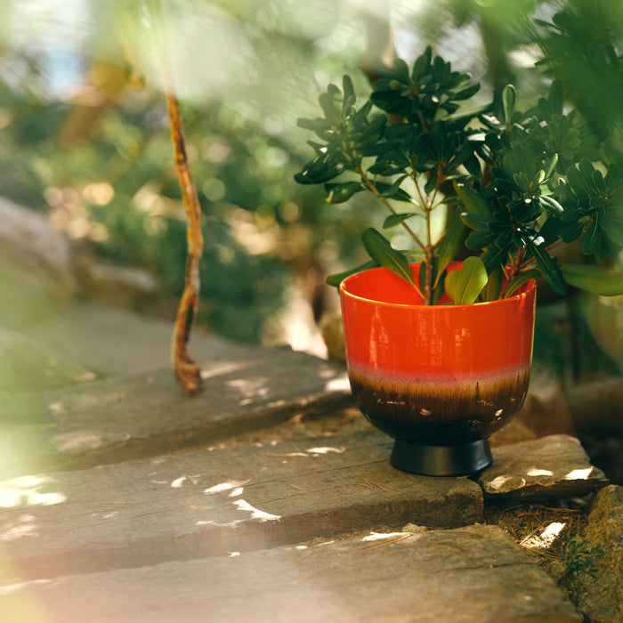 326166-x01-202409251758-A.jpg (9183315)