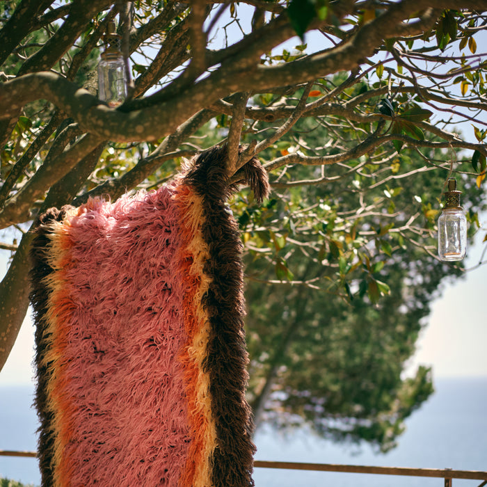 326344-x05-202409252324-A.jpg (9183809)