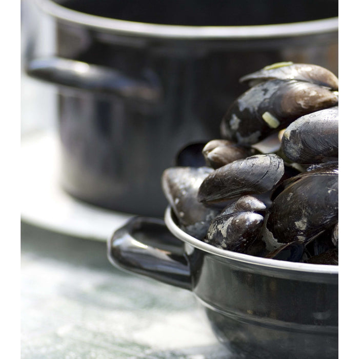 Cosy & Trendy Mosselpan - Rood - ø 18 cm | 2.8 liter