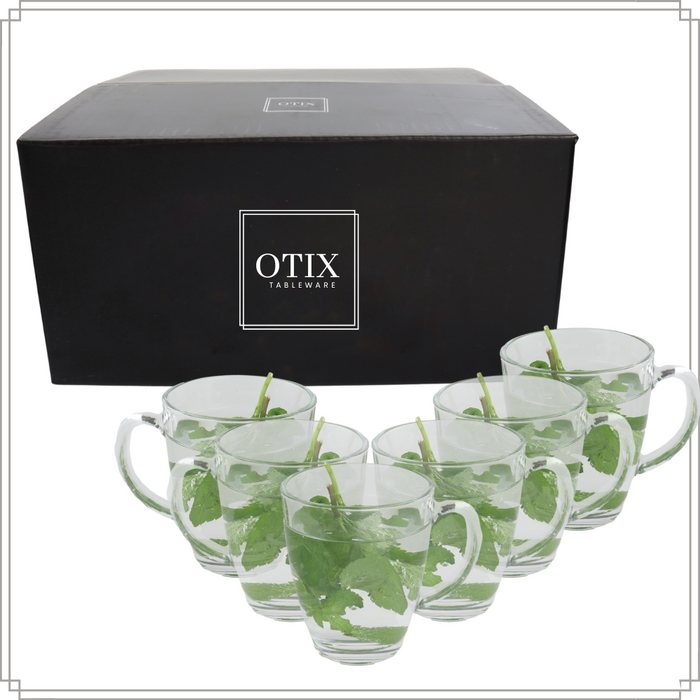 OTIX Theeglazen met Oor 6 Stuks Theetassen 350ml Groot Glas Cappucc...