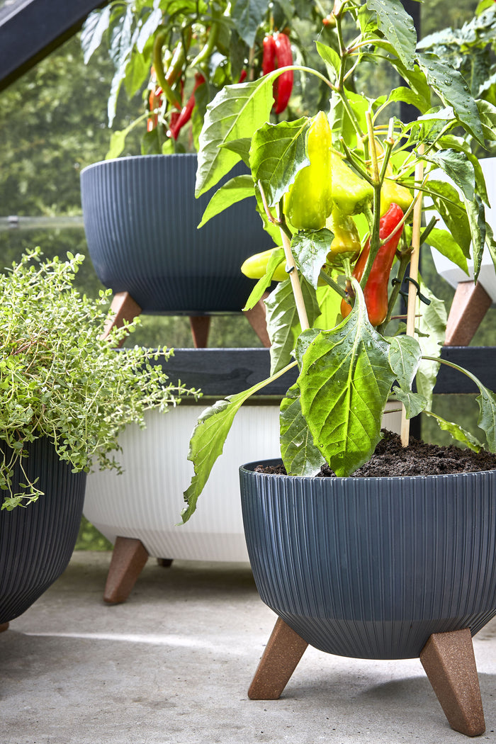 e2d588fb-9f6f-4b45-bb68-ac5f967ab673-sfeerbeeld.jpg (9187569)