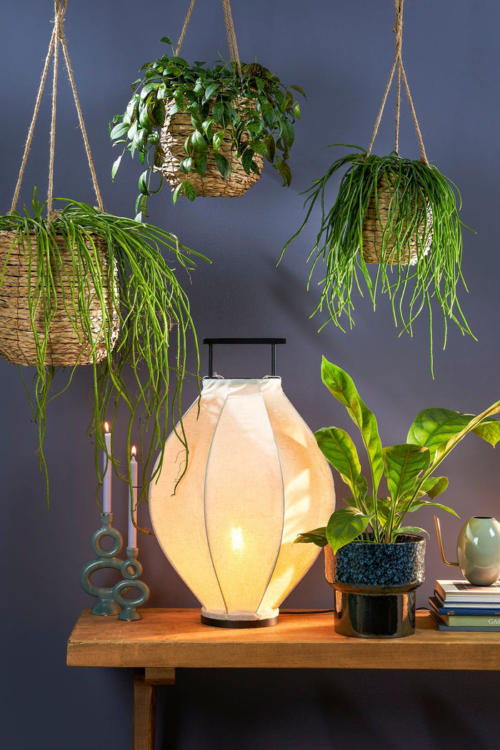 4b0f7698-a45d-4fd6-87c3-437683bade8d-sfeerbeeld.jpg (9187744)