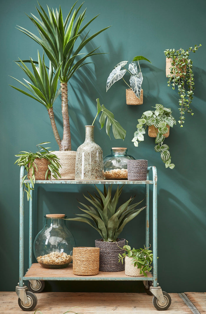 bce3bf0b-82ba-48a2-8068-def0e2e7c391-sfeerbeeld.jpg (9187913)