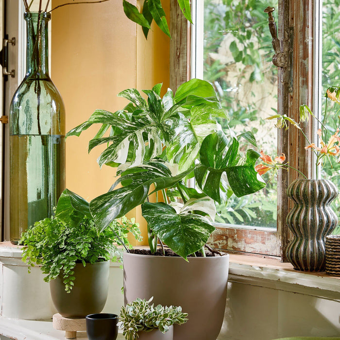 Mica Decorations Rioja Glazen Fles - H75 x Ø18 cm - Groen