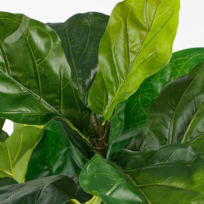 d7373821-bdb8-41b1-ab5f-5ade9538aef7-afbeelding3.jpg (9188219)