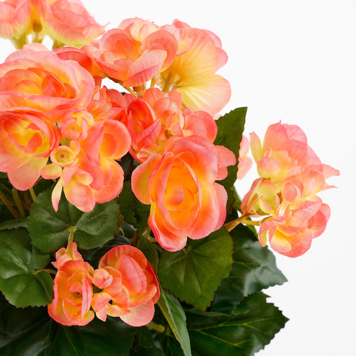 Mica Decorations Begonia Kunstplant - H37 x Ø36 cm - Zalmroze