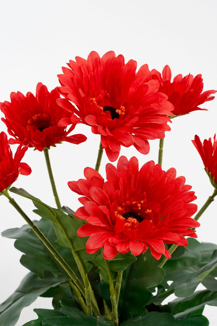 Mica Decorations Gerbera Kunstplant - H35 x Ø30 cm - Rood