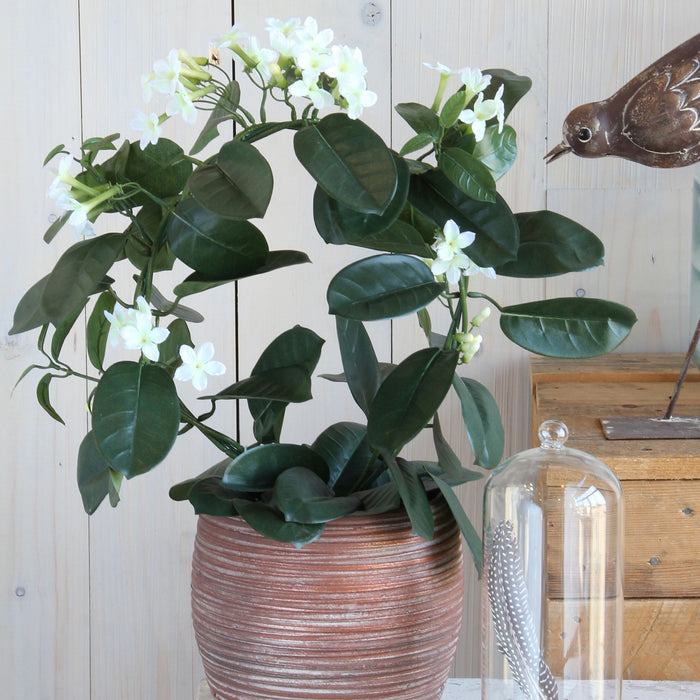 Mica Decorations Stephanotis Kunstplant - H50 x Ø40 cm - Wit
