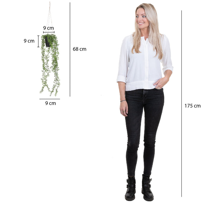 Mica Decorations Senecio Kunst Hangplant in Pot - H68 x Ø9 cm - Groen