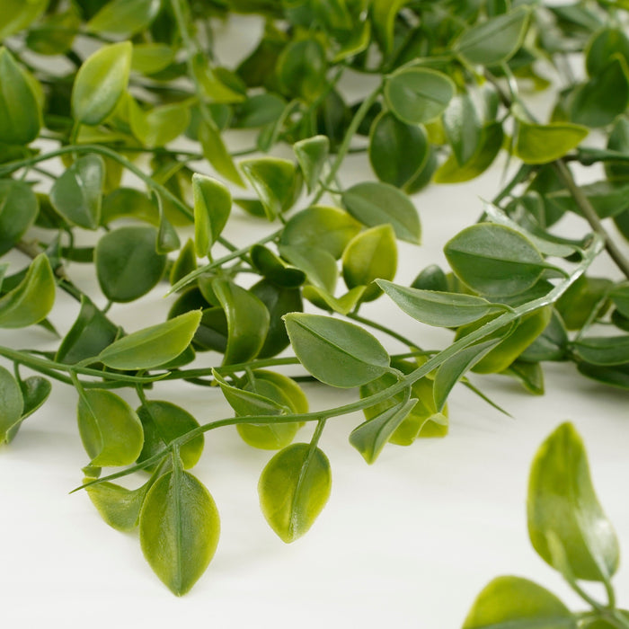 Mica Decorations Ficus Kunst Hangplant - H81 cm - Groen