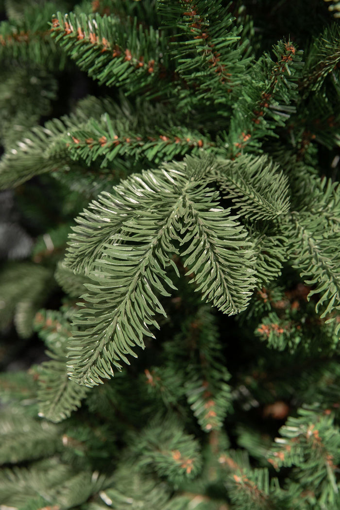 Triumph Tree Abies Nordmann Guirlande - L270 cm - Groen