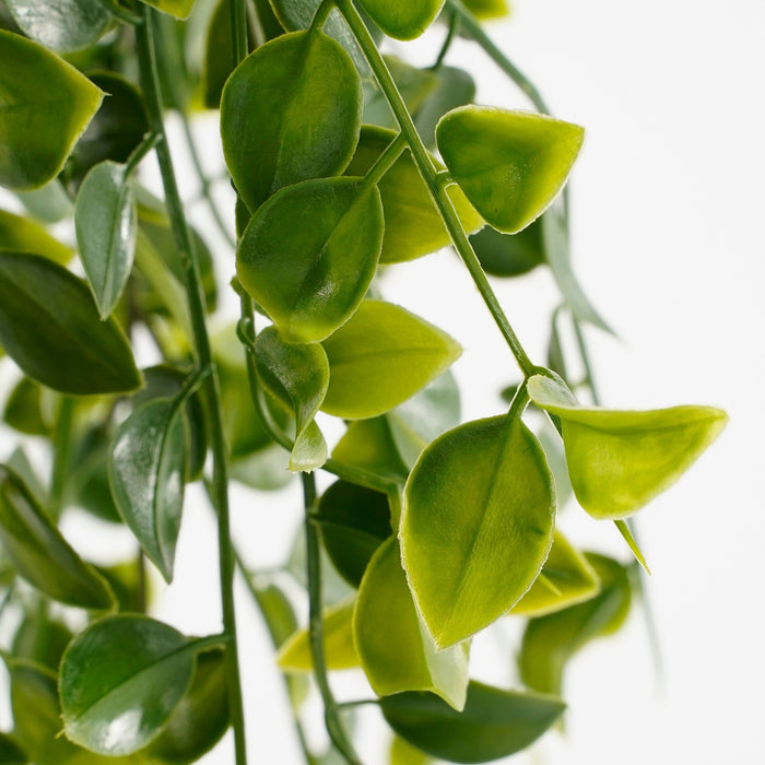 Mica Decorations Ficus Kunst Hangplant in Pot - H46 x Ø20 cm - Groen