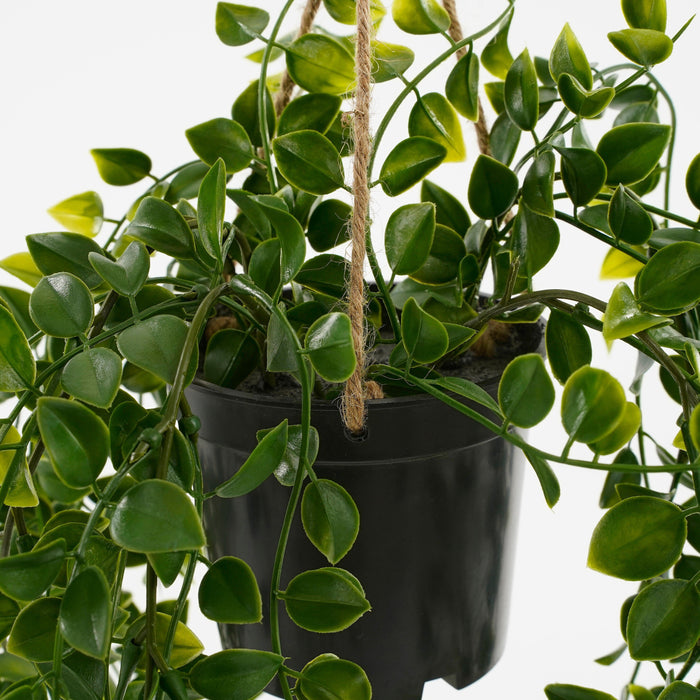 Mica Decorations Ficus Kunst Hangplant in Pot - H46 x Ø20 cm - Groen