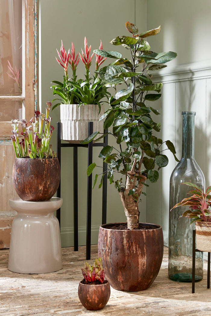 399a01c8-9abe-4cae-8b3f-eb8f12c375f4-afbeelding7.jpg (9190724)