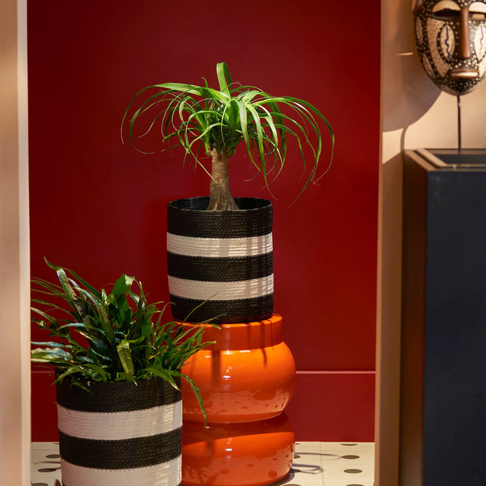 98d3b30c-66e4-4a5e-bba1-d4d8debbb1fa-sfeerbeeld.jpg (9191133)