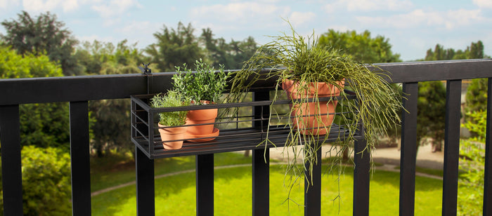 Mica Decorations Greenrax Plantenrek Hangend - L58 cm - Zwart