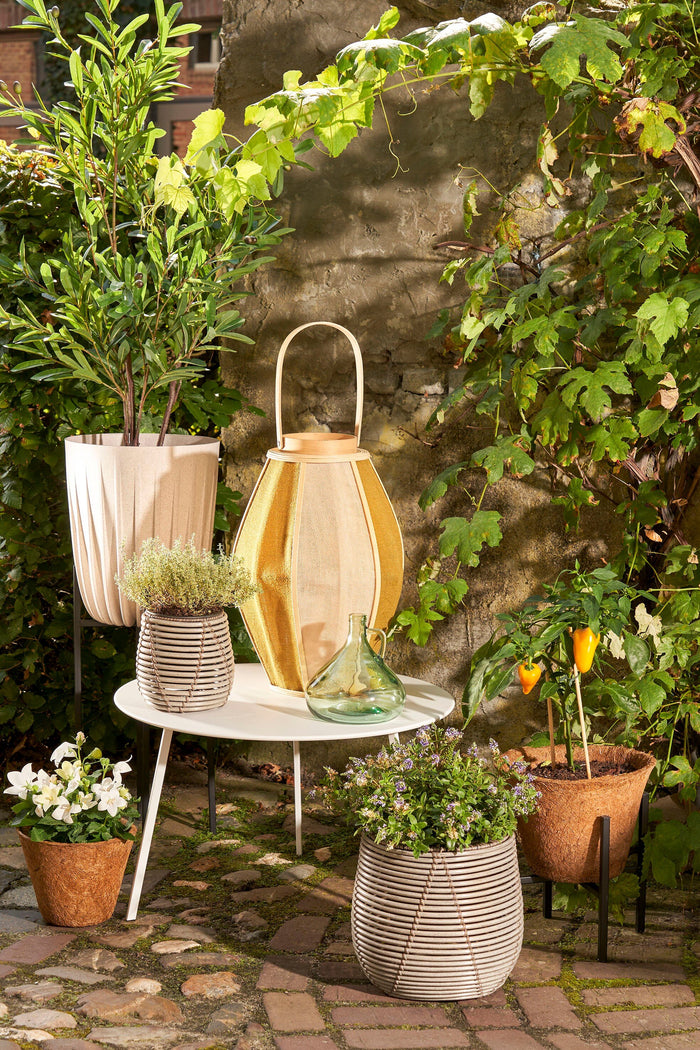 f9d4d99d-d80a-4894-a81e-4d0f7bfc028a-sfeerbeeld.jpg (9191292)