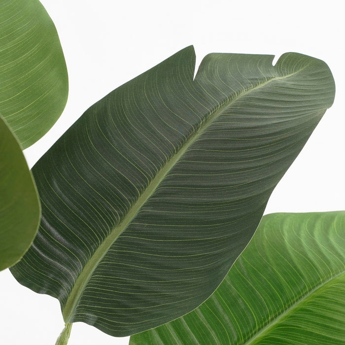 Mica Decorations Kunstplant Bananenboom in Pot - H180 x Ø30 cm - Groen