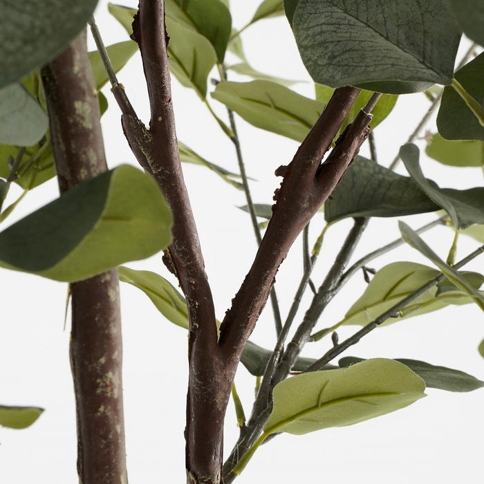 Mica Decorations Kunstplant Eucalyptusboom in Pot - H180 x Ø80 cm