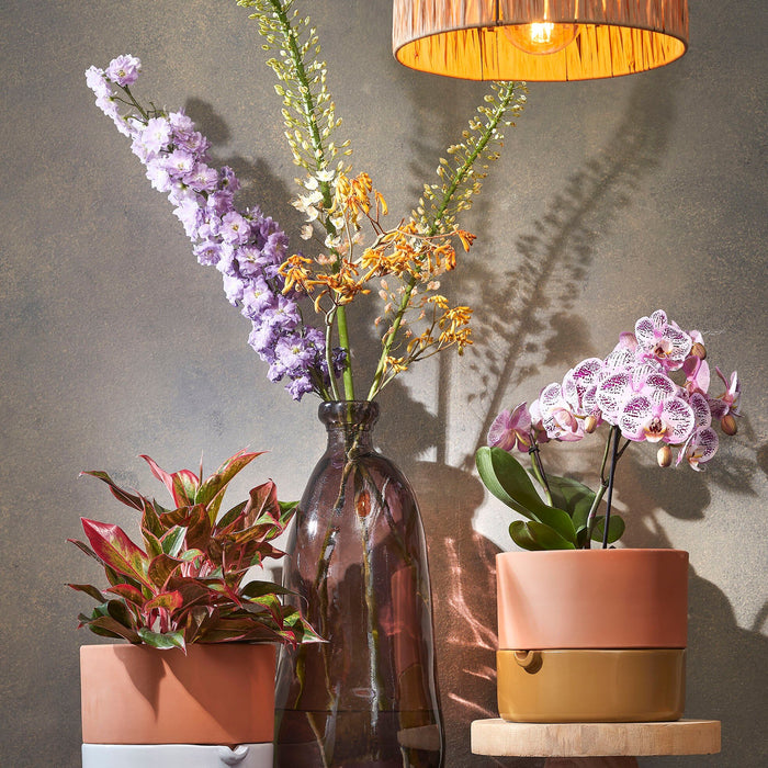 Mica Decorations Elisa Hanglamp - H18 x Ø30 cm - Raffia - Lichtbruin