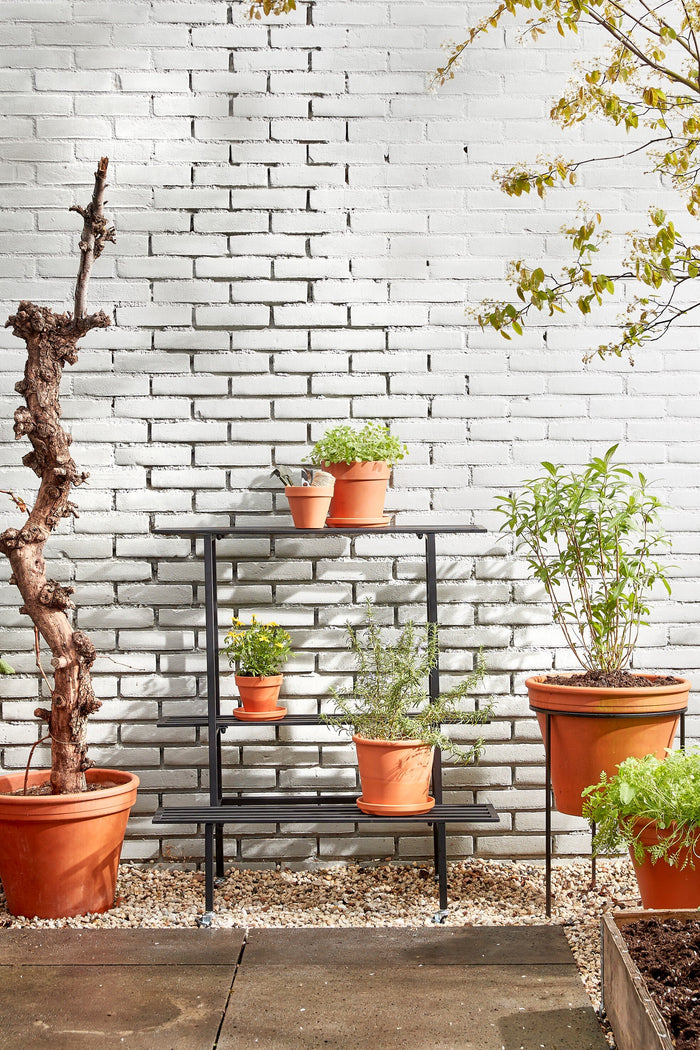 dc5d73d7-c2a3-4998-a92d-fddd649ec096-sfeerbeeld.jpg (9191812)