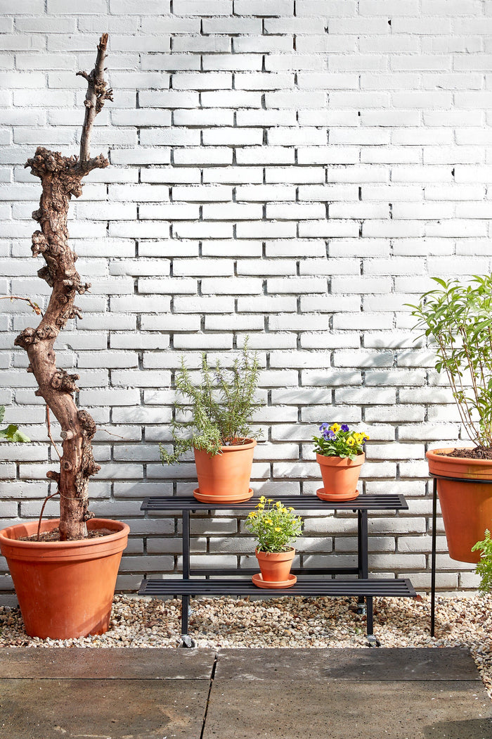 dfa36be4-f672-4dd1-ad0f-7e3f86aa90b3-sfeerbeeld.jpg (9192086)