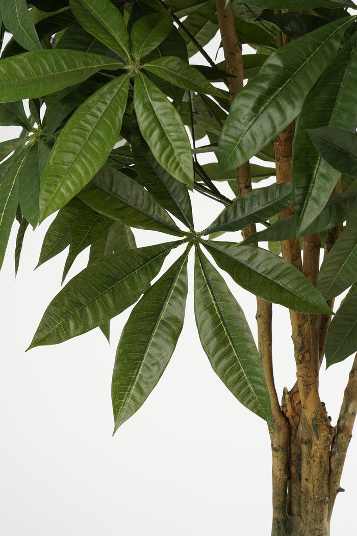 Mica Decorations Pachira Kunstplant - H150 x Ø65 cm - Groen