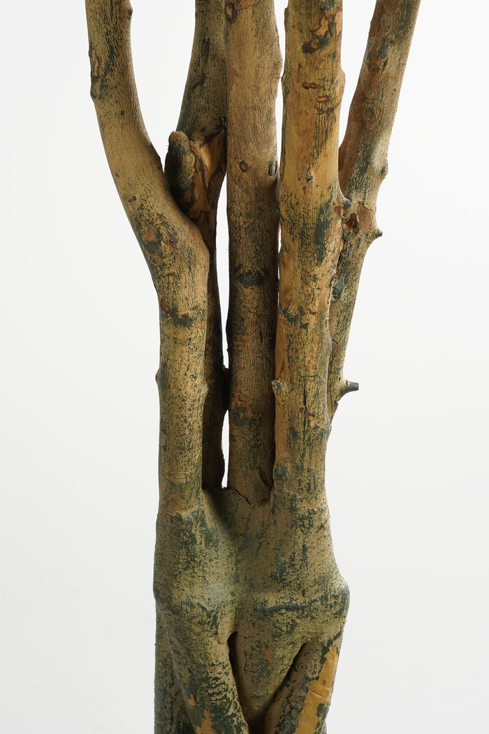 Mica Decorations Pachira Kunstplant - H150 x Ø65 cm - Groen