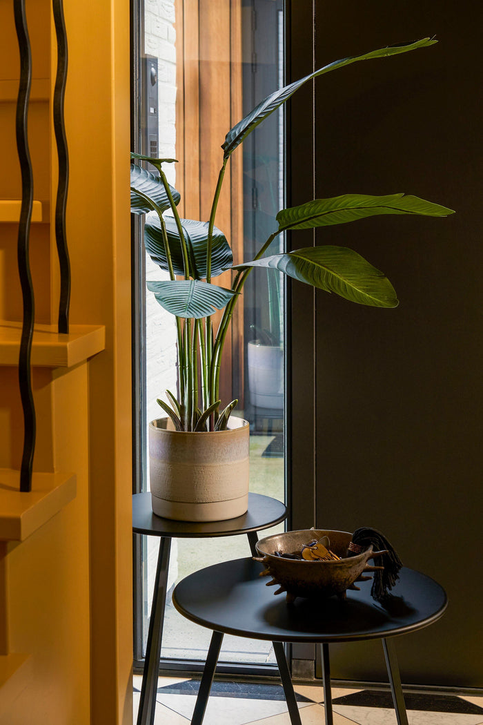 7f6884b6-b01b-447c-a092-4dab3391918b-sfeerbeeld.jpg (9193479)