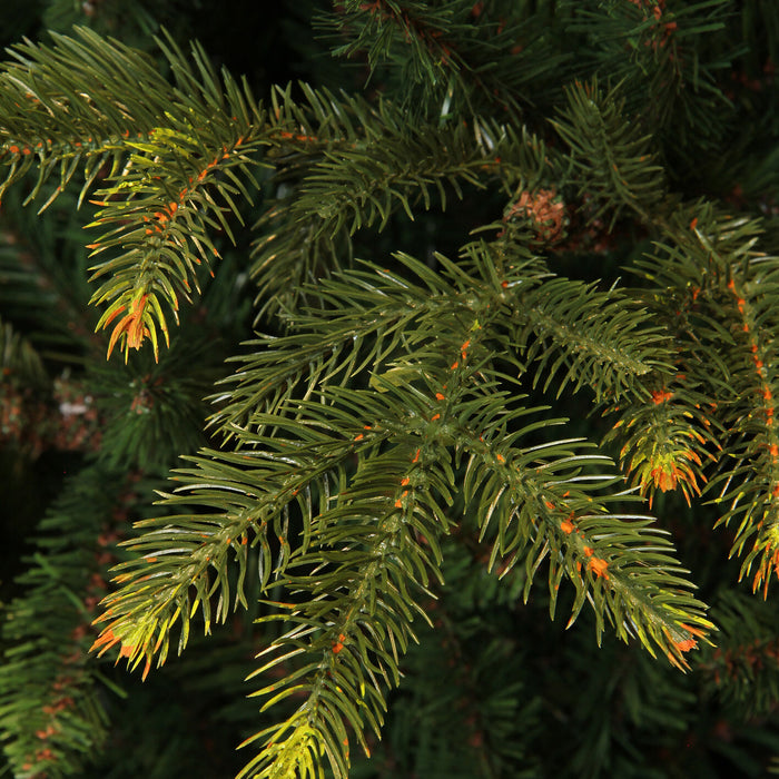 Black Box Trees Frasier Kunstkerstboom - H155 x Ø109 cm - Groen