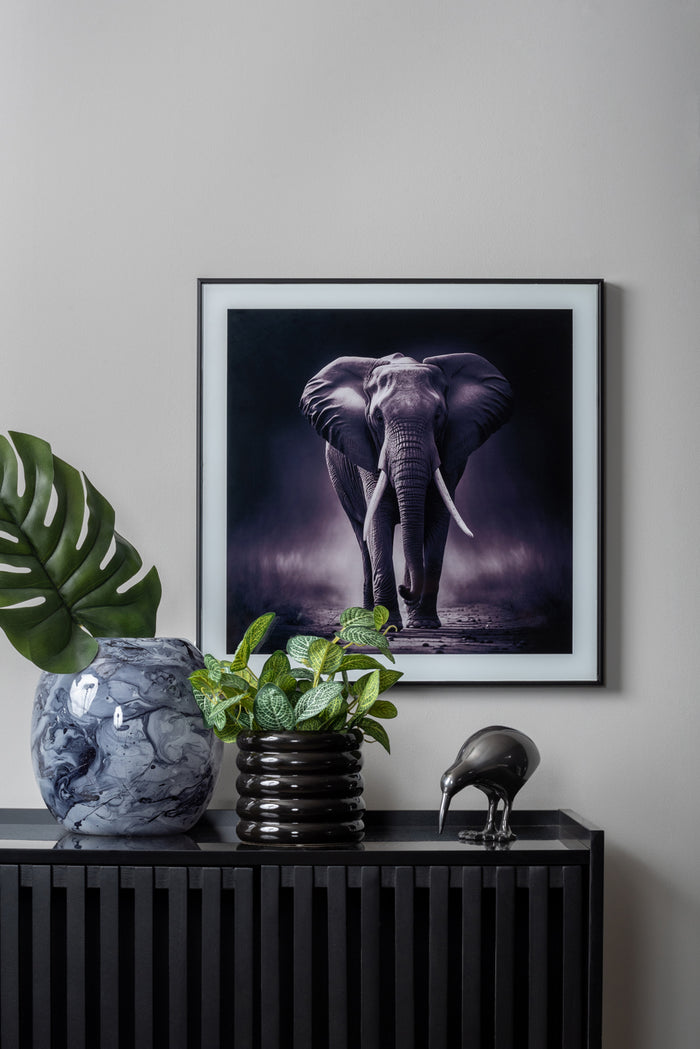 present time - Statue Kiwi Bird