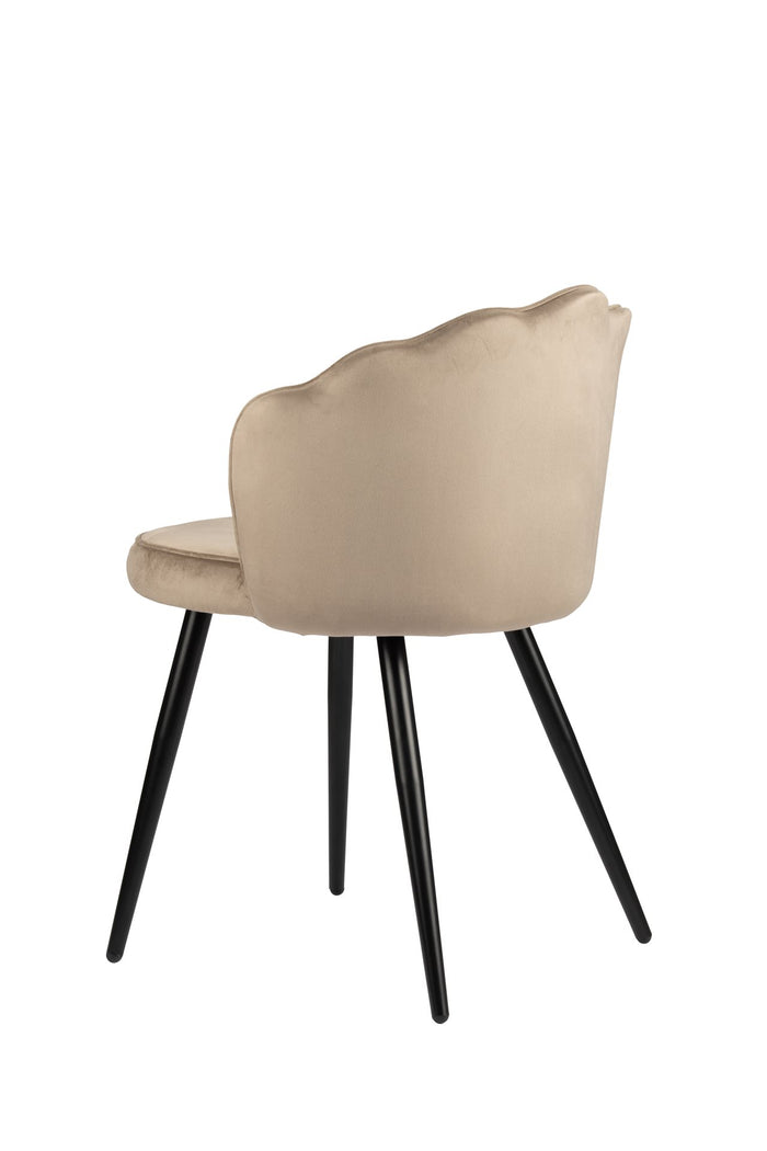 6deb432b-4491-4e38-aff0-06e0b481b38a-afbeelding5.jpg (9223672)