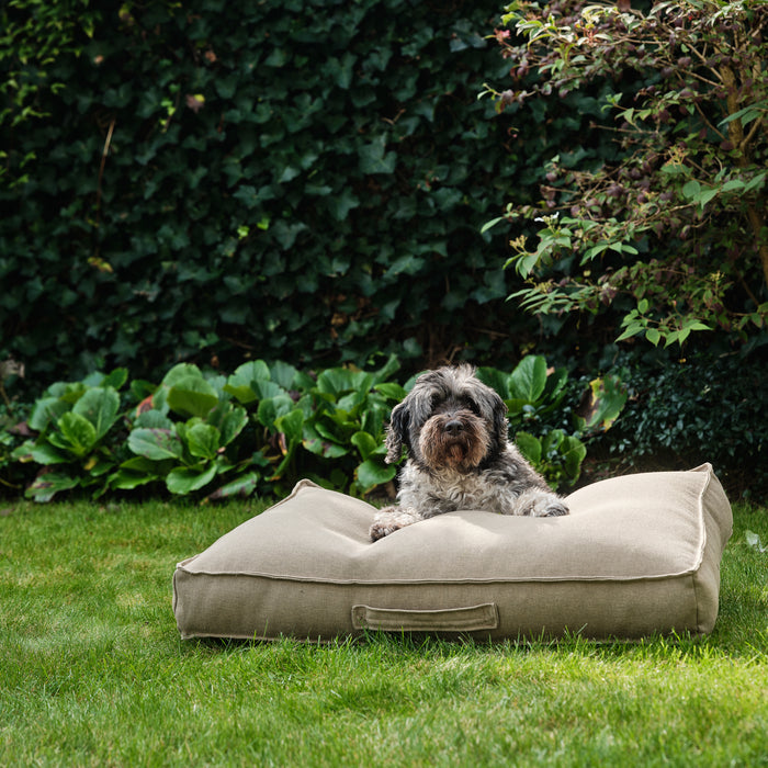 313c6a36-2974-4ab5-a0eb-1bd4e03c2ac1-afbeelding6.jpg (9229179)