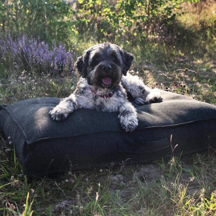 313c6a36-2974-4ab5-a0eb-1bd4e03c2ac1-afbeelding7.jpg (9229182)